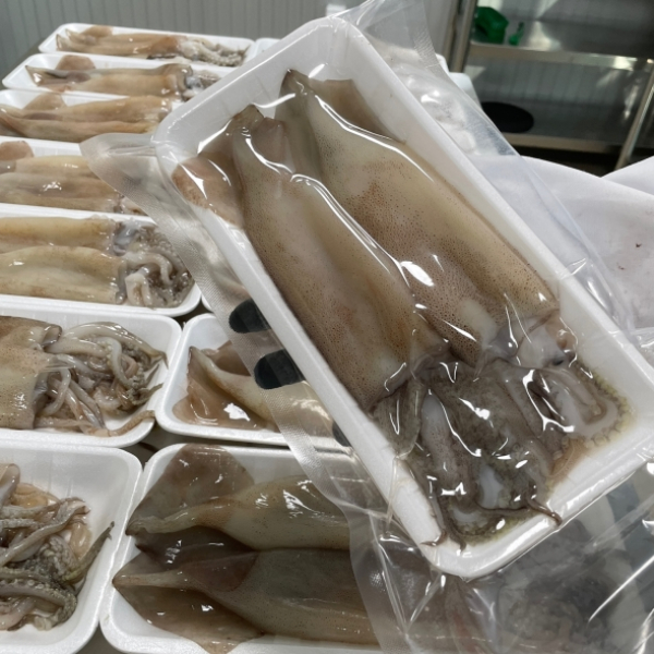 자연산 손질 통오징어 2미 320g * 3팩(총 6미)